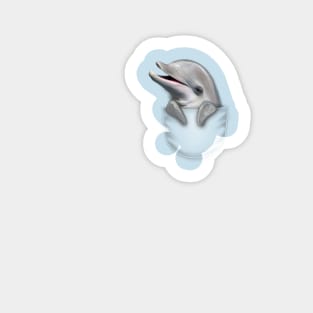 POCKET DOLPHIN Sticker